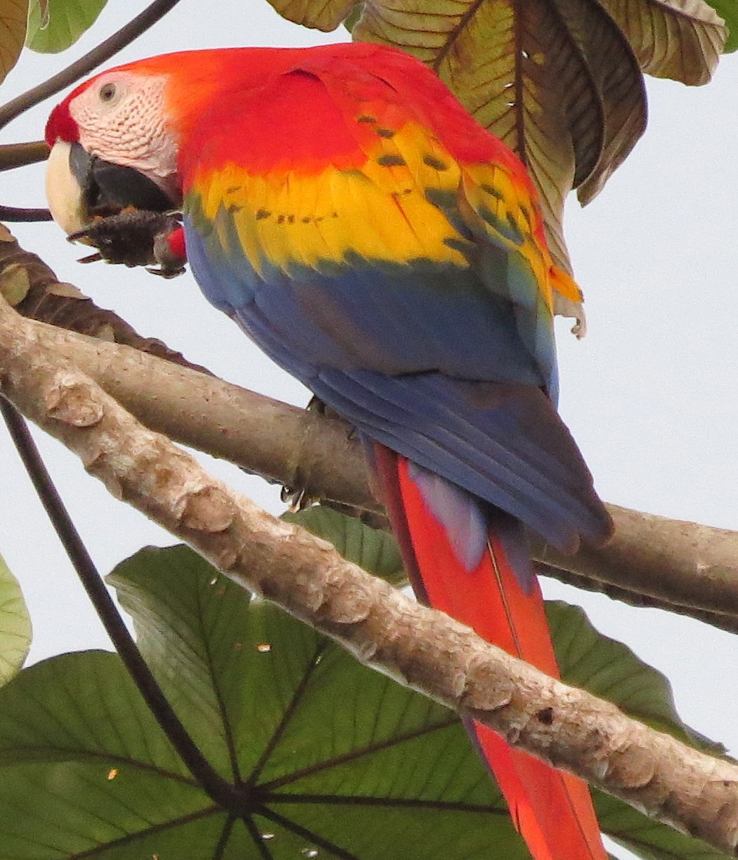 Denny’s Memorial Trip